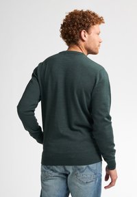 Donkergroene pullovertrui met een ronde hals, lange mouwen en geribbelde manchetten. De stof heeft een gladde textuur en wordt gedragen met lichtblauwe jeans.