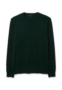 Dunkelgrüner Rundhals-Pullover aus weichem Stoff, mit langen Ärmeln sowie gerippten Bündchen und Saum. Glatte Textur, keine Muster oder Verzierungen.