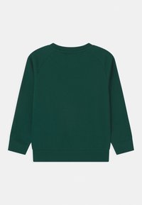 Zelená mikina se zaobleným výstřihem, dlouhými raglánovými rukávy a žebrovanými manžetami. Hladká textura, žádné viditelné vzory nebo akcenty.