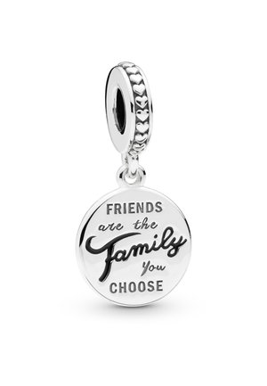 FRIENDS ARE FAMILY  - Charms - silver coloured