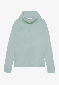 Light green, long-sleeve sweater with a cowl neckline, ribbed texture, and a relaxed fit. Features a straight hem and minimal branding.