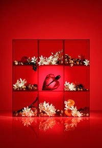 Miniatyrbild 4