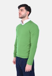 Maglione verde a collo a V realizzato in maglia, con maniche lunghe e polsini a coste, abbinato a una camicia bianca con colletto e jeans blu scuro.