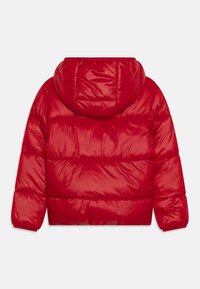 Czerwona kurtka puchowa z kapturem, charakteryzująca się błyszczącym wykończeniem, poziomym pikowaniem i elastycznymi mankietami dla ciasnego dopasowania.