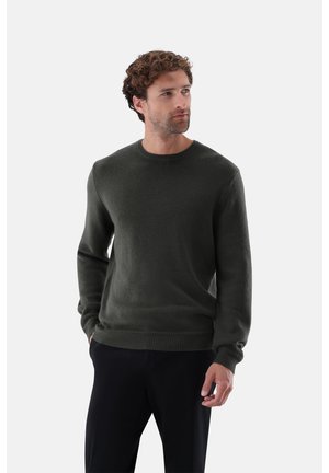 SINDO - Maglione - green