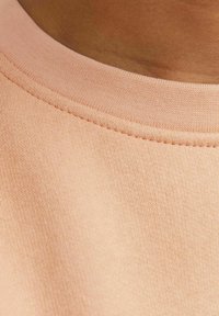 Jack & Jones Junior JORVESTERBRO CREW NECK NOOS - Sweatshirt - canyon sunset