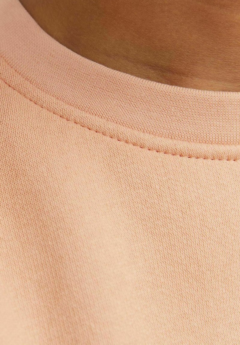 Jack & Jones Junior JORVESTERBRO CREW NECK NOOS - Sweatshirt - canyon sunset