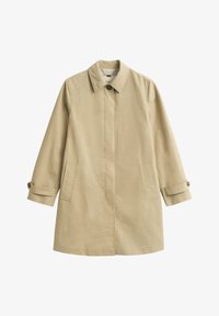 Seleccionado, plaza taupe