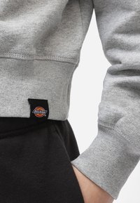 Felpa grigia chiara con polsini e vita a costine. Presenta un'etichetta nera con il logo "Dickies" sul lato, abbinata a pantaloni neri.