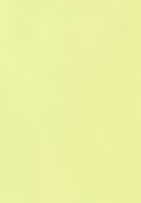 Gerry Weber KOMBI VERKÜRZT BEQUEME MIT SAUMSCHLITZEN - Chino - lime