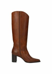 Brown leather knee-high boot with a pointed toe, side zipper, and a chunky heel. Smooth texture and minimal detailing.