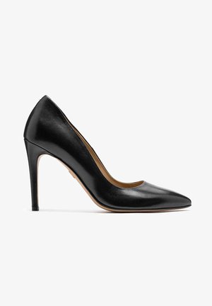 Zwarte leren hoge hakpumps met een spitse neus, slank ontwerp, gladde textuur en een dunne stiletto hak. Het interieur heeft een tan kleurige voering.