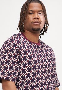 Tommy Hilfiger MONOGRAM TEE  - T-shirts med print - red/white/blue