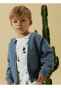 Svetlomodrá mikina na zips s prednými vreckami, textúrovaná látka, nosená cez biely tričko s farebnými hravými vzormi. Pozadie zahŕňa kaktus.