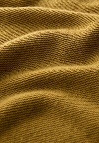 Seasalt Cornwall FRUITY  - Strickpullover - yellow kelp
