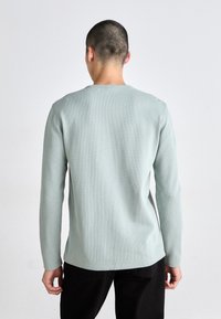 Lange mouw lichtgroene ribbelshirt met een ronde halslijn, achteraanzicht, met een soepele textuur en een rechte zoom.