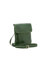 Borsa a spalla verde in pelle con chiusura a pattina, tracolla regolabile e texture liscia. Presenta cuciture sottili e dettaglio in fibbia metallica.