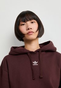 adidas Originals HOODIE - Camisola - shadow brown