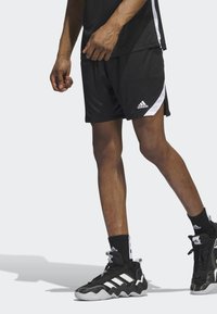 adidas Performance ICON SQUADRA - Kurze Sporthose - black white