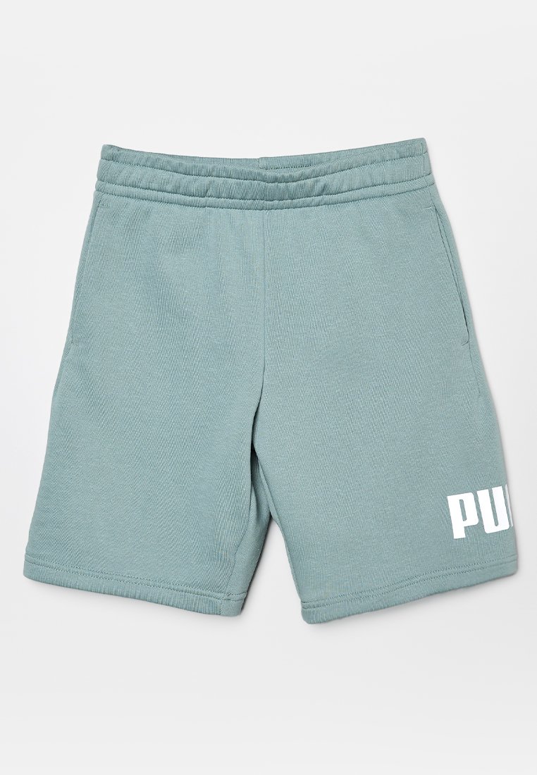 Puma Shorts groen