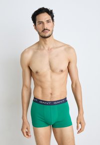 Zelené bavlnené boxerské šortky s tmavomorenským elastickým pásom s logom 'GANT'; model stojaci na pozadí v bielej farbe.
