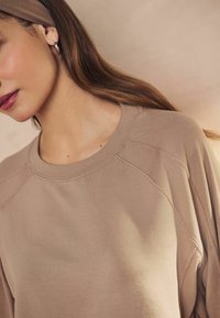 Next SOFT TOUCH RAGLAN SLEEVE - Mikina - neutral