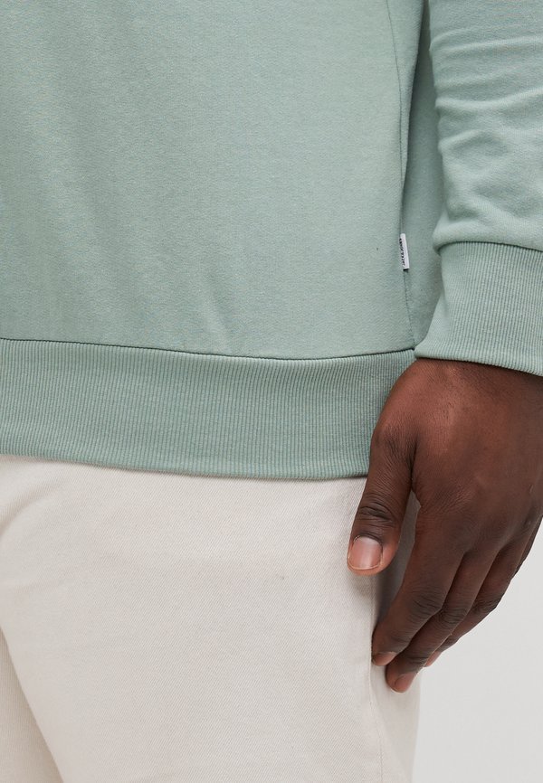 JJEBRADLEY GRAPHIC CREW  - Sweatshirt2