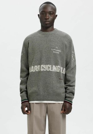 PULLOVER  - Strikkegenser - grey melange