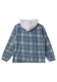 Sininen ja vihreä ruudullinen huppari, jossa on vaaleanharmaa kangashuppu. Teksturoitu pinta, pitkät hihat ja rento fit. Yksinkertainen takanäkymä.