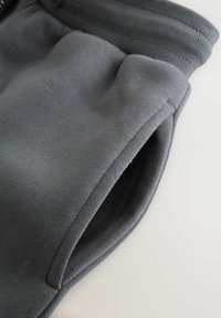 Grijze sportshorts met een gladde textuur, voorzien van een brede elastische tailleband en zijzakken voor functionaliteit.