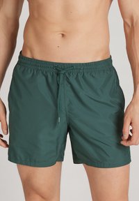 Zelené plavkové šortky vyrobené z lehkého, rychleschnoucího materiálu. Mají elastický pas s šňůrkou a hladký povrch. Bez kapes.
