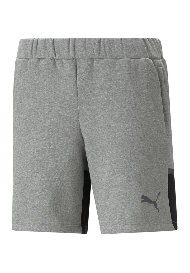 Puma FUSSBALL TEAMSPORT TEAMCUP D - Trainingsbroek - grau