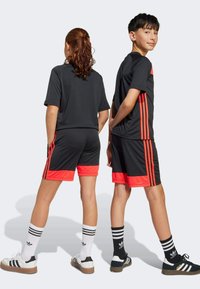 adidas Performance Sportske kratke hlače - black   lucid red