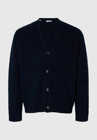 Jopica - sky captain