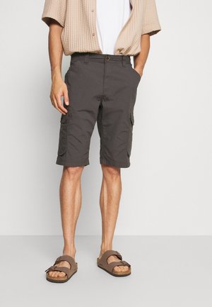 Shorts - grey