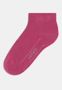 camano 6 PACK - Calze - orchid smoke