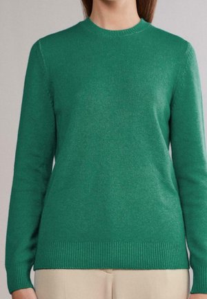 Vrouw die een effen groene gebreide trui met lange mouwen en beige broek draagt, afgebeeld van nek tot heupen tegen een neutrale achtergrond.