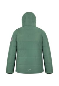 Grüne Steppjacke mit Kapuze, mit einem gesteppte Design, elastischen Bündchen und einem Logopatch am linken Ärmel. Glatte Textur.