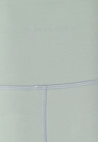 Endurance RALEIGH - Leggings - dusty teal