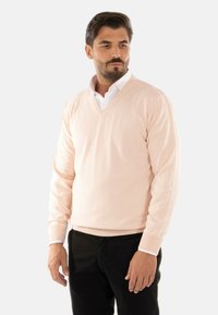 Maglione rosa chiaro a scollo a V in un tessuto morbido, con maniche lunghe e polsini a costine, indossato sopra una camicia bianca con colletto, abbinato a pantaloni neri.
