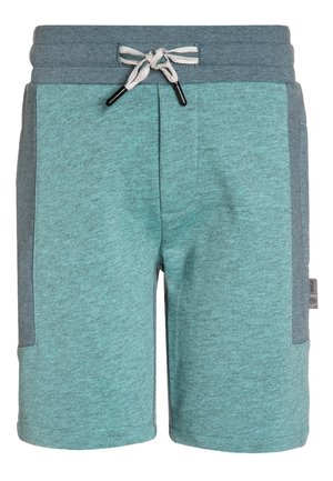 Pantalones cortos de sudor en color verde azulado, hechos de una tela suave con cintura ajustable. Cuentan con paneles laterales grises y bolsillos para mayor funcionalidad.