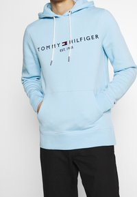 Felpa con cappuccio azzurro chiaro, dotata di tasca frontale, con lacci bianchi e logo del marchio in caratteri scuri. Presenta polsini e orlo a coste.