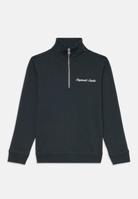 Selecionado, forest river