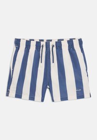 Bañador a rayas con rayas verticales en azul y blanco, cinturilla elástica con cordón y un logo en la parte inferior derecha.