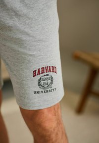Šedé bavlnené šortky s červeným logom "HARVARD" a čiernym textom "UNIVERSITY" s emblémom na ľavom stehne. Mäkká textura, neformálny dizajn.