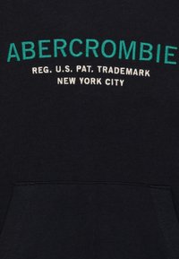Abercrombie & Fitch Jersey con capucha - black
