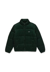 WALLTZ CORD - Veste d'hiver - scarab