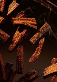 Rituals BLACK OUDH FRAGRANCE STICKS PRIVATE COLLECTION - Doftpinnar