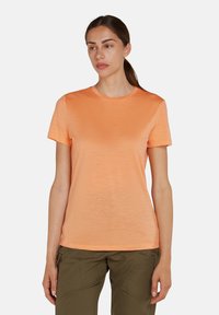 icebreaker MER 150  LITE III - Sports T-shirts - feldspar