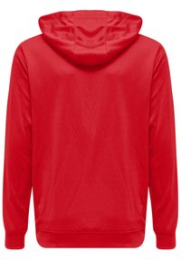 Felpa rossa con cappuccio, caratterizzata da una texture liscia, maniche lunghe e un orlo curvo. La schiena è in tinta unita, senza ulteriori motivi o dettagli.